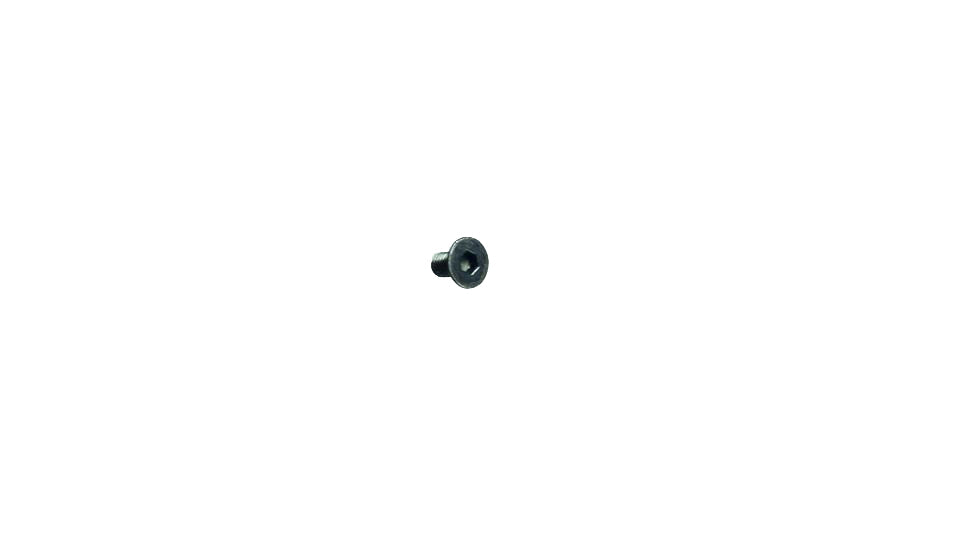 VFC HK Licensed M5 Motor Plate Installation Screw | Set of 2x